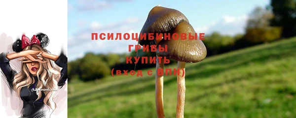 2c-b Аркадак