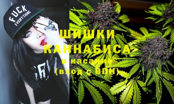 стаф Алзамай