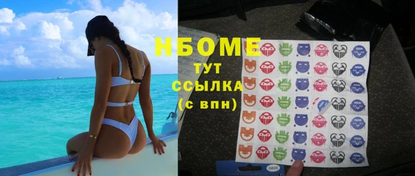 стаф Алзамай