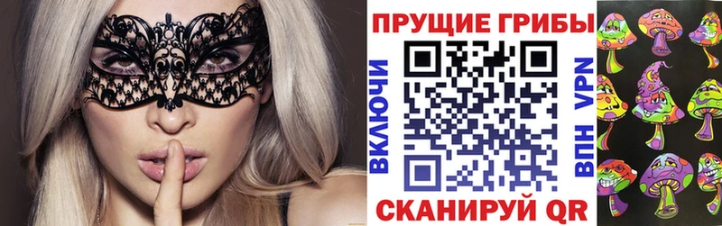 Псилоцибиновые грибы GOLDEN TEACHER  Купить  Туринск 